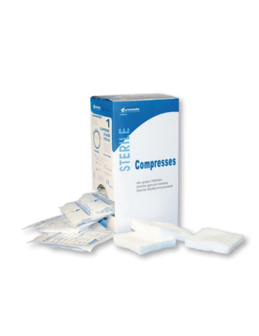 Compresse 10x10 par 2, bte de2 NESS