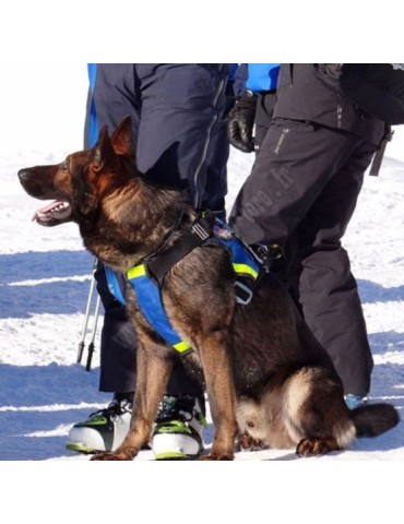 HARNAIS POUR CHIEN 2