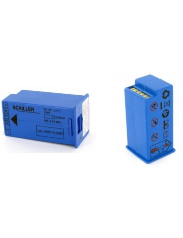 BATTERIE POUR DSA SCHILLER