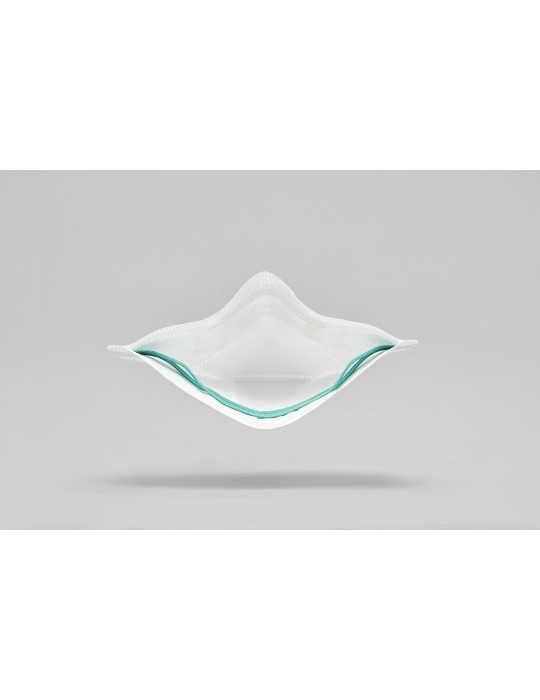 Boite de 20 masques FFP2 Bec de canard