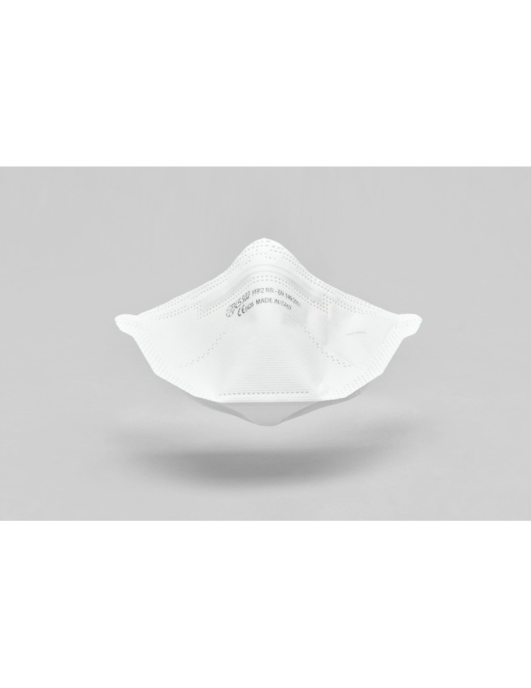 Boite de 20 masques FFP2 Bec de canard