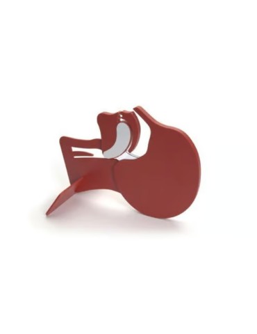 Modèle de tête en coupe LAERDAL