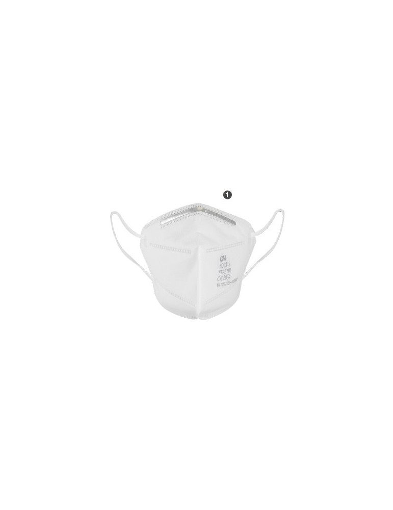 Masque FFP2 NR